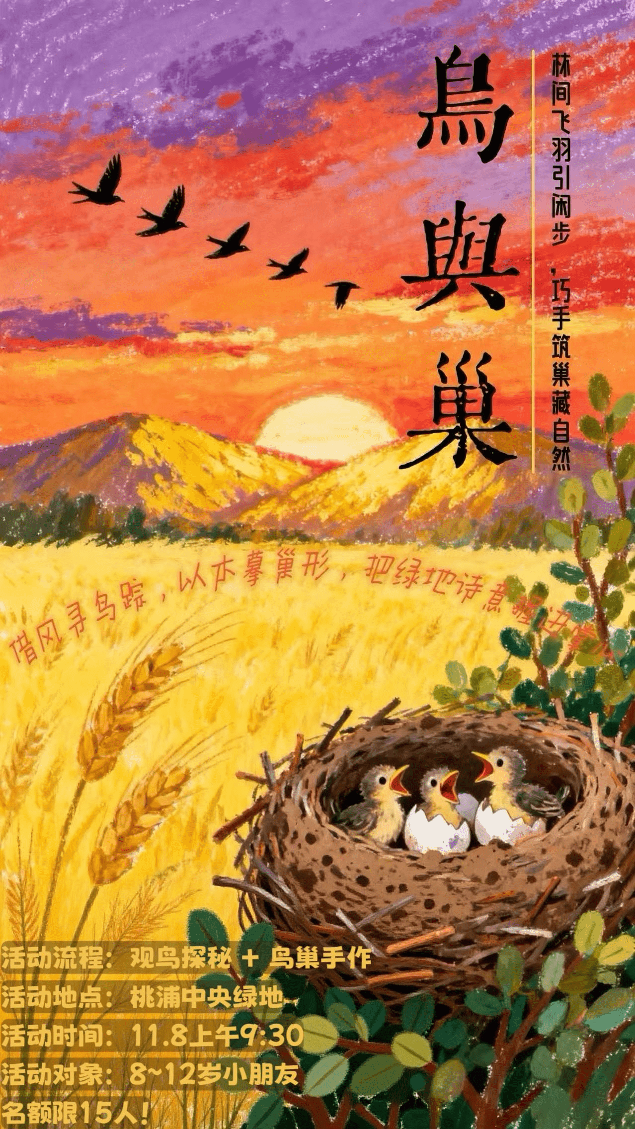 借风寻鸟踪·“鸟与巢”自然课堂