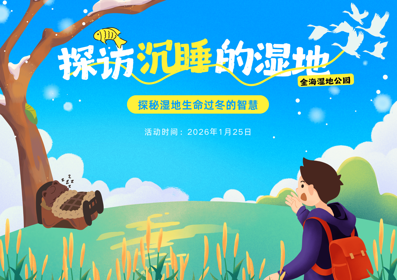 探访沉睡的金海湿地，揭秘生命过冬的奥秘